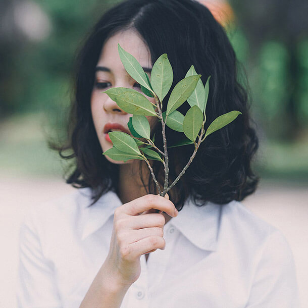 Beneficios Constitución MACO